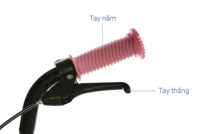 Xe Đạp Trẻ Em Unisex AVACycle XBS 16 inch Màu Hồng - Tím