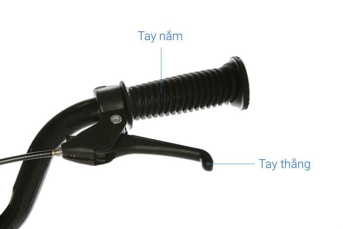 Xe Đạp Trẻ Em Unisex AVACycle XBS 16 inch Màu Xanh Dương