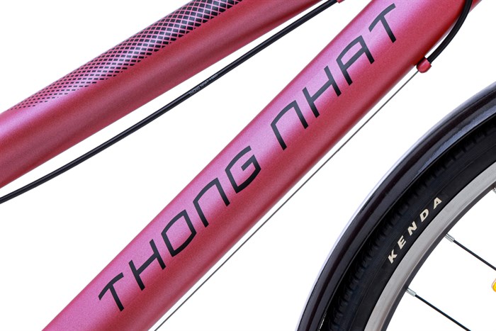 Xe Đạp Đường Phố Thể Thao Thống Nhất GN 06-26 2.0 Pro - 26 inch Xanh ngọc Màu Đen hồng