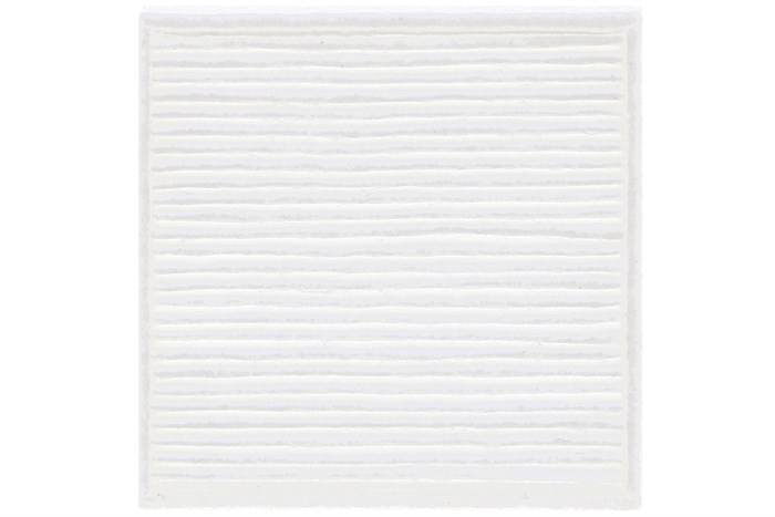 Khẩu trang lọc khí LG Puricare thế hệ 2 AP551AWFA.AJP Đen Màu Đen