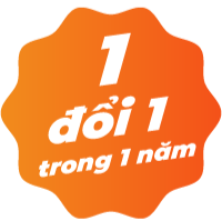 hình ảnh-12