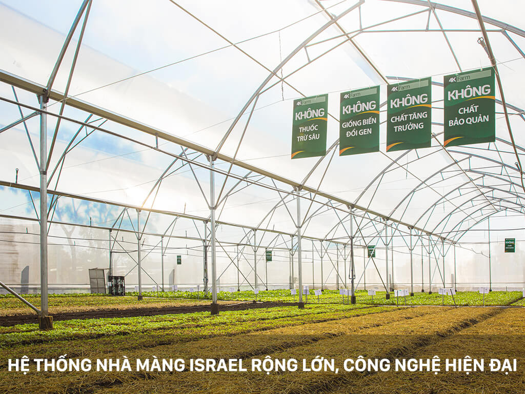 Rau sạch 4KFarm