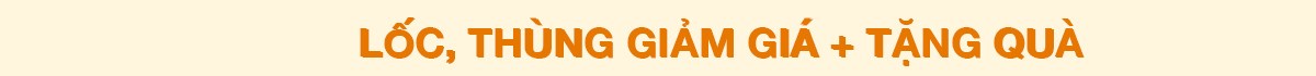 Lốc, hộp giảm giá + tặng quà