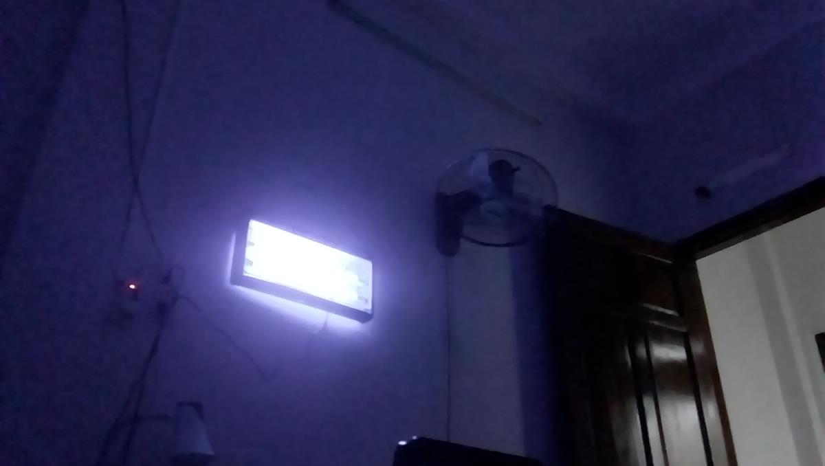 đèn bắt muỗi điện máy xanh