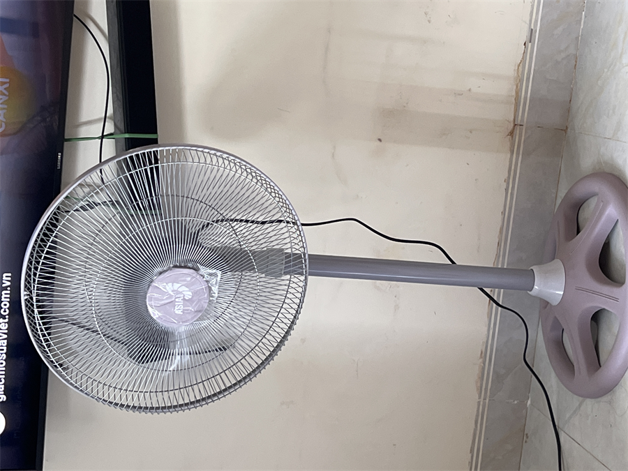 Quạt đứng Asia VY539790 - chính hãng, giá tốt | Điện máy XANH