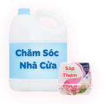 Chăm sóc nhà cửa