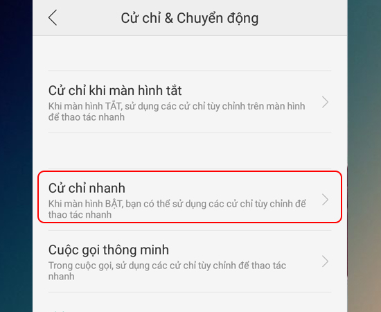 Bước 3: Sau đó bạn chọn Cử chỉ nhanh.