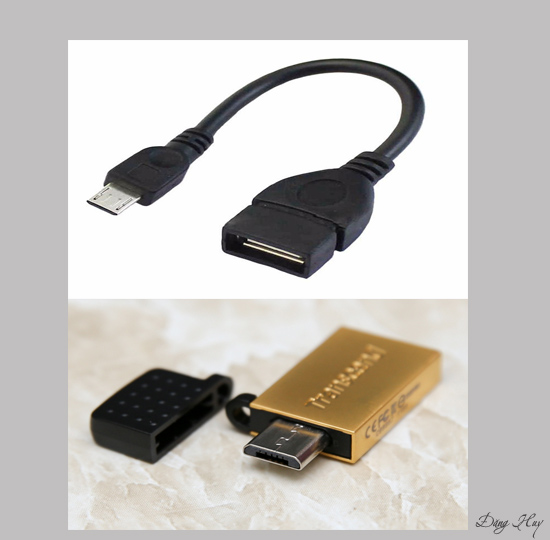Bước 1: Để kết nối OTG bạn phải chuẩn bị cáp OTG hoặc USB OTG.