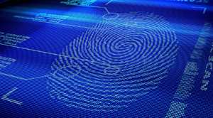 Bảo mật vân tay trên Vivo V5S