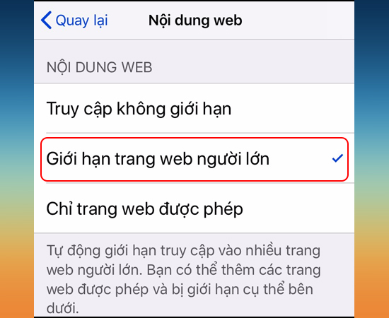 Chọn Giới hạn trang web người lớn