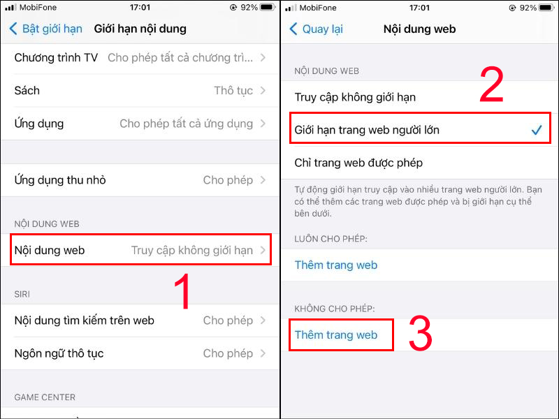 Vào Nội dung web, chọn Giới hạn trang web người lớn và thêm trang web 