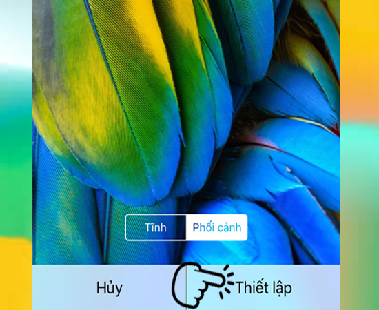 Bước 5: Thiết lập (Set), bạn cũng có thể thay đổi kiểu ảnh theo kiểu tĩnh hoặc kiểu phối cảnh