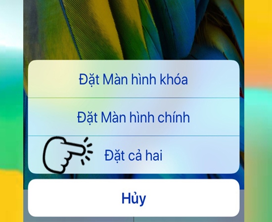 Bước 6: Có thể đặt màn hình khóa và màn hình chính