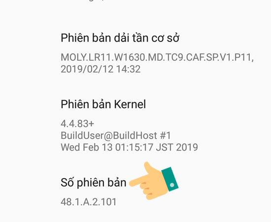Bước 4: Tại mục Giới thiệu về điện thoại, h&atilde;y chạm nhiều lần v&agrave;o d&ograve;ng Số phi&ecirc;n bản cho đến khi tr&ecirc;n m&agrave;n h&igrave;nh hiển thị th&ocirc;ng b&aacute;o Bạn đ&atilde; l&agrave; nh&agrave; ph&aacute;t triển.