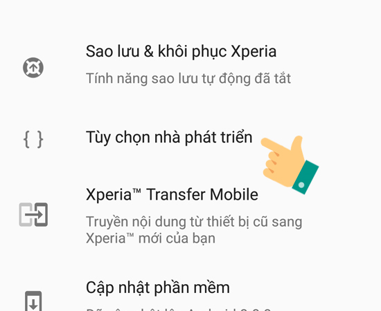 Bước 3: Bạn vào chế độ Tùy chọn nhà phát triển để tiếp tục thao tác.