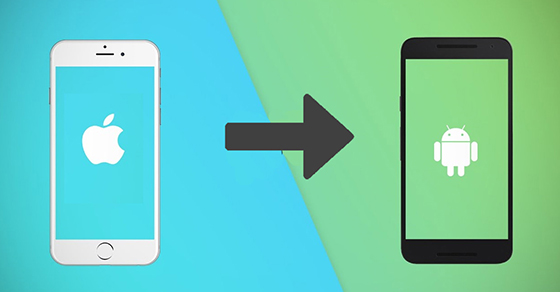 Chuyển danh bạ giữa iPhone và Android (2024): Bạn đang dùng iPhone hoặc Android? Không còn phải lo lắng về việc mất dữ liệu hoặc tốn nhiều thời gian để chuyển tất cả các dữ liệu cá nhân. Với tính năng chuyển danh bạ đơn giản và dễ sử dụng, bạn có thể chuyển tất cả các liên lạc của mình giữa hai thiết bị ưu thích của bạn. Tận hưởng tính hữu dụng và tầm quan trọng của tính năng chuyển danh bạ trong việc giữ kết nối cùng những người thân yêu.