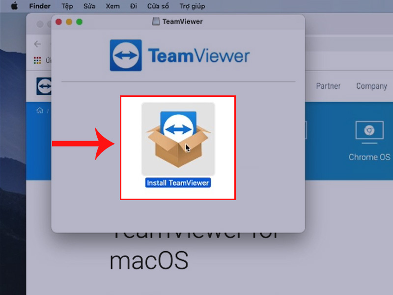 Chọn Install TeamViewer