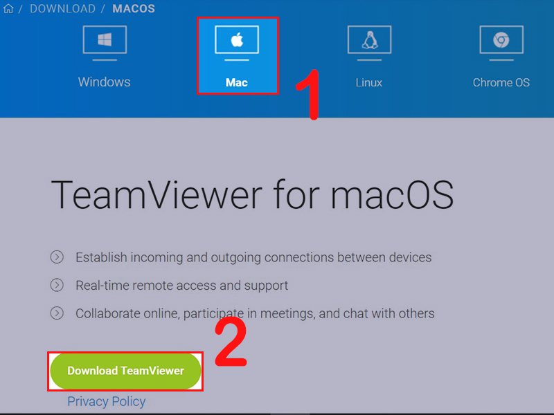 Nhấn vào Download TeamViewer