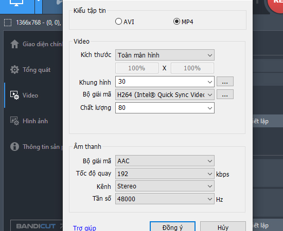 Ở đây cho phéo bạn thiết lập định dạng video, có 2 đinh dạng là MP4 và AVI, và kích thước bạn muốn ghi hình là toàn màn hình hay nửa màn hình,...