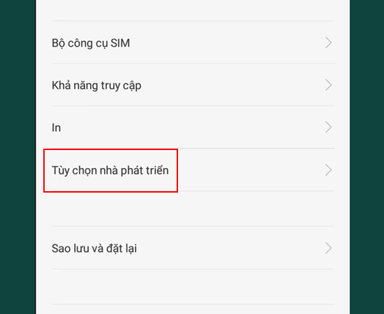 Bước 2: V&agrave;o mục T&ugrave;y chọn nh&agrave; ph&aacute;t triển.