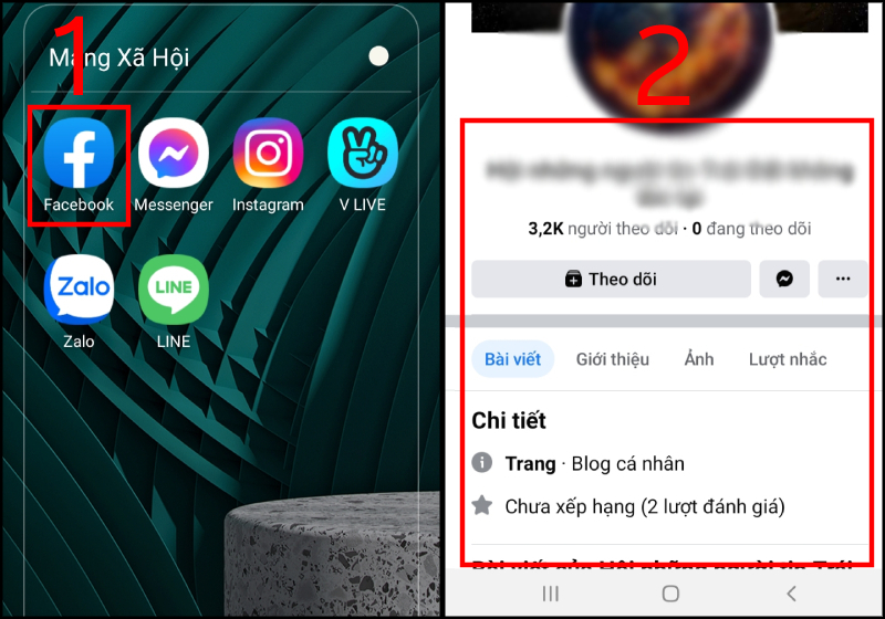 Chọn fanpage mà bạn muốn report