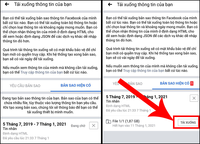 Cách Kiểm Tra File Lưu Trữ Của Facebook