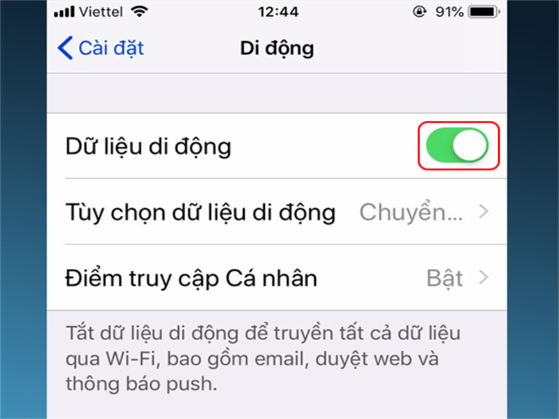 Bước 3: Cuối cùng bạn bật Dữ liệu di động.