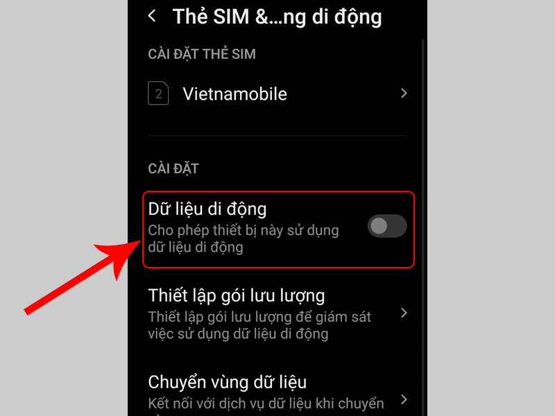 Chọn Thẻ SIM & mạng di động và chọn vào tên SIM muốn kết nối dữ liệu