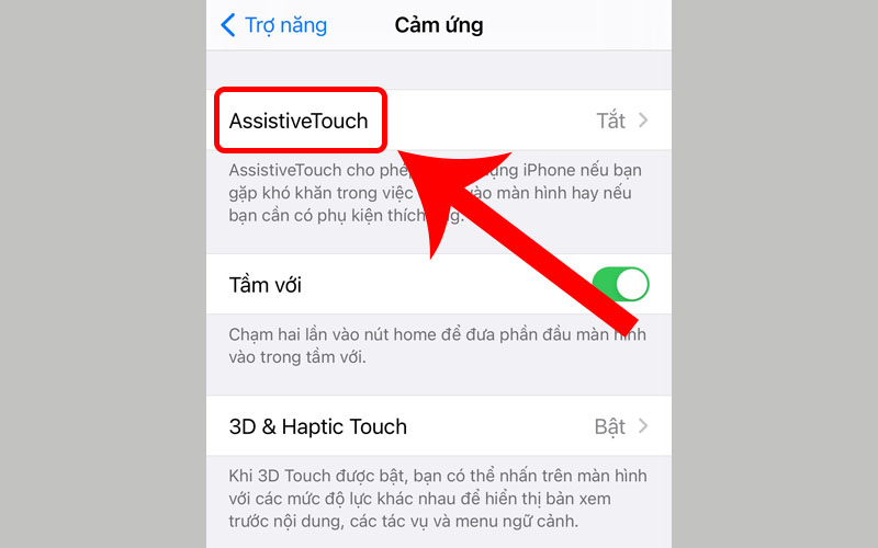 Chọn Assistive Touch