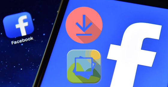 Cách Tải Toàn Bộ Ảnh Trên Facebook Về Điện Thoại Android, Iphone -  Thegioididong.Com