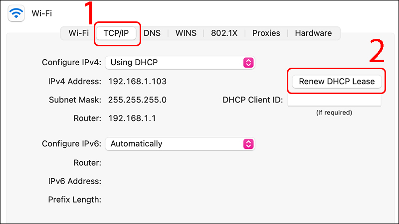 Chọn tab TCP/IP, sau đó bấm Renew DHCP Lease