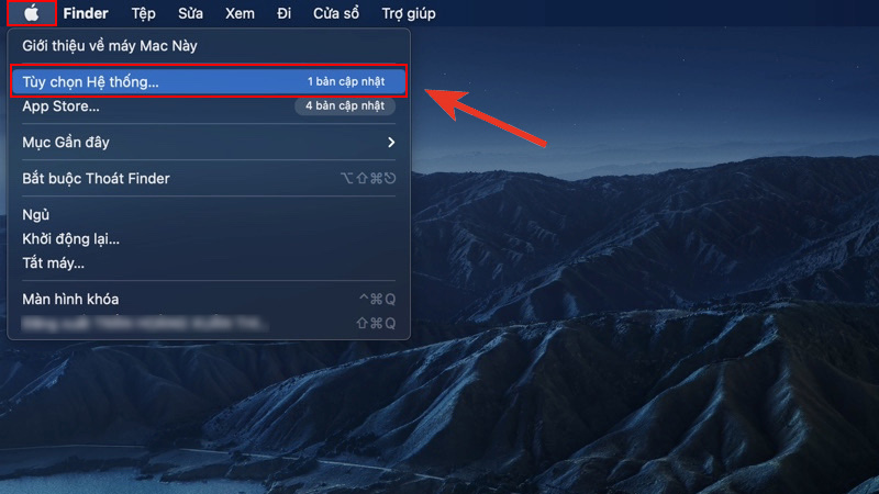 Nhấn vào biểu tượng Apple, chọn Tùy chọn Hệ thống