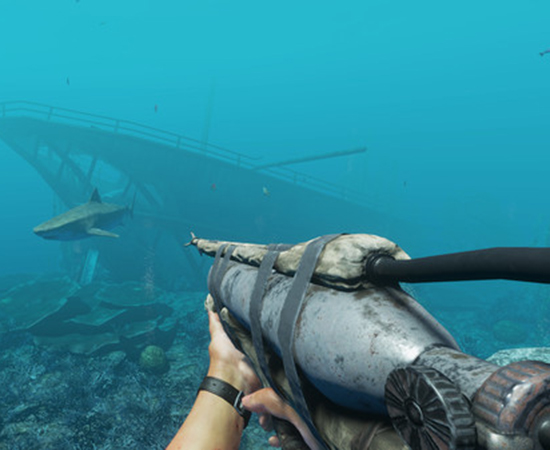 Cấu hình để chơi mượt game Stranded Deep