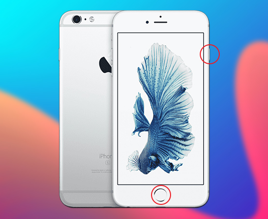 iphone 6s plus