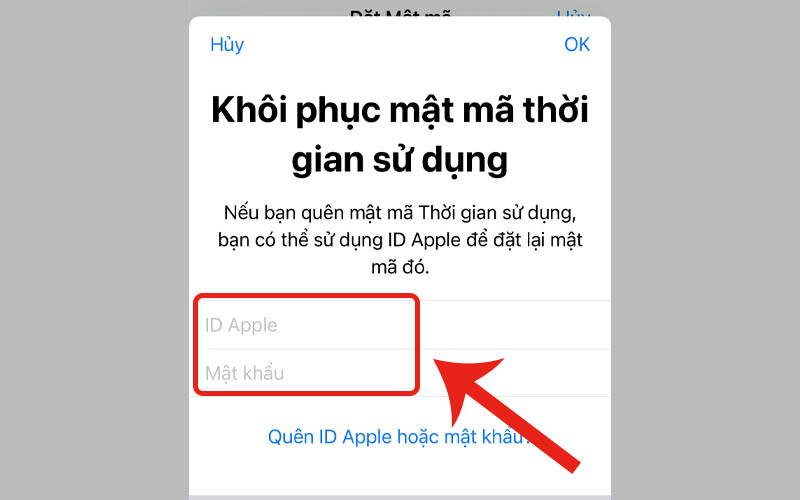 Nhập ID Apple và mật khẩu ID Apple