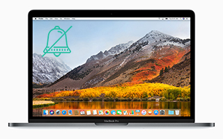 Cách tắt thông báo trang web trên MacBook