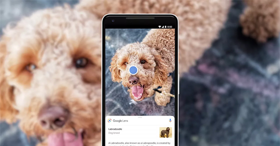 Công cụ tìm kiếm hình ảnh thông minh Google Lens là gì?