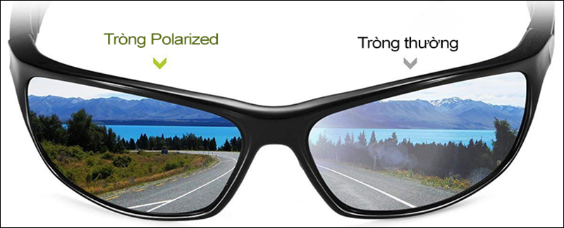 Mắt kính phân cực Polarized được sử dụng khá nhiều bởi nhiều tiện ích