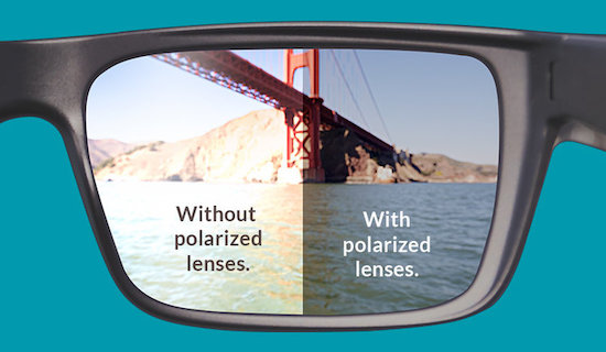 Mắt kính phân cực Polarized là gì?