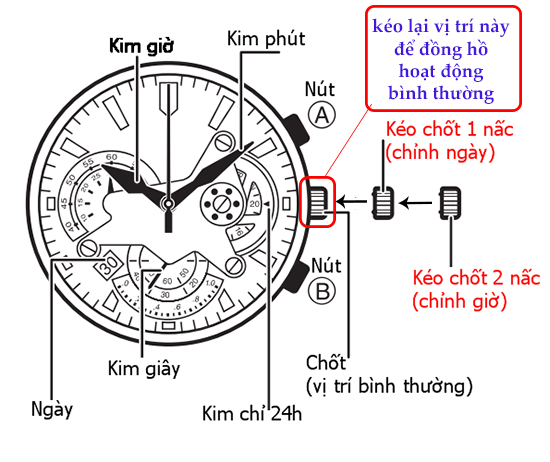 dh-co-ko-chay-4