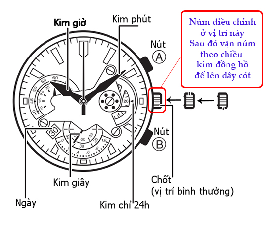 dh-auto-chay-bao-lau-2
