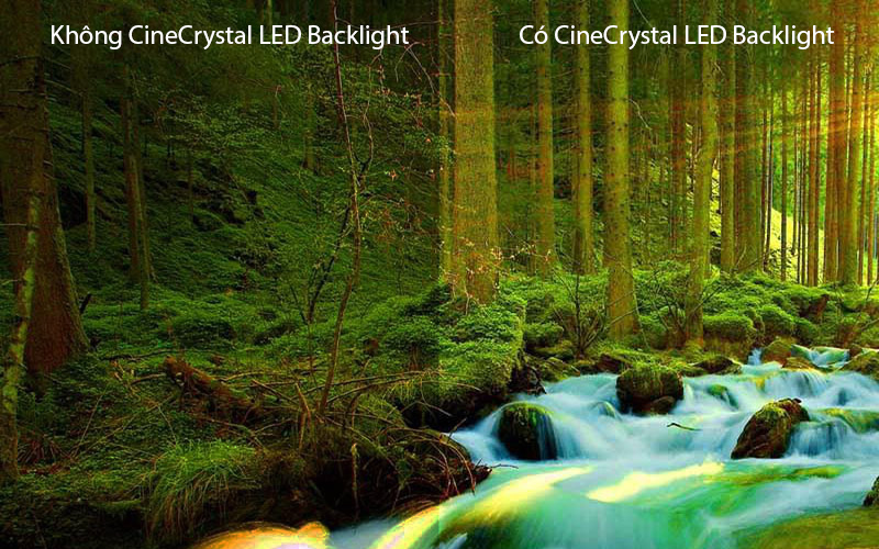 Ưu điểm của màn hình CineCrystal LED Backlight