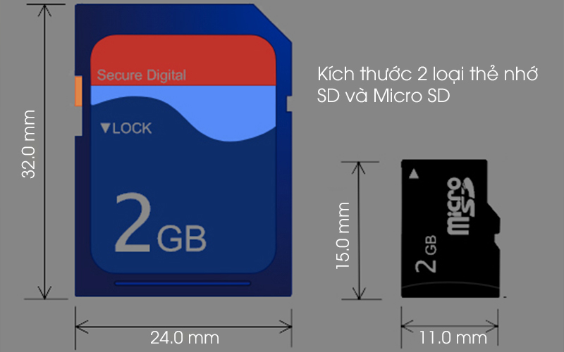 Những loại khe cắm SD phổ biến là SD và Micro SD