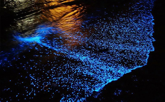 L&acirc;n quang l&agrave; hiện tượng ph&aacute;t s&aacute;ng trong b&oacute;ng tối của hợp chất của phốt pho.