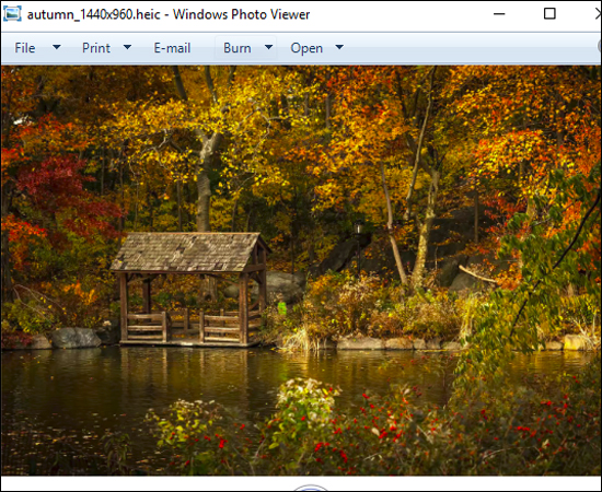 Bạn có thể mở file HEIC bằng ứng dụng Windows Photos Viewer trên Windows