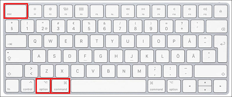 Nhấn tổ hợp ph&iacute;m Command + Option + Escape