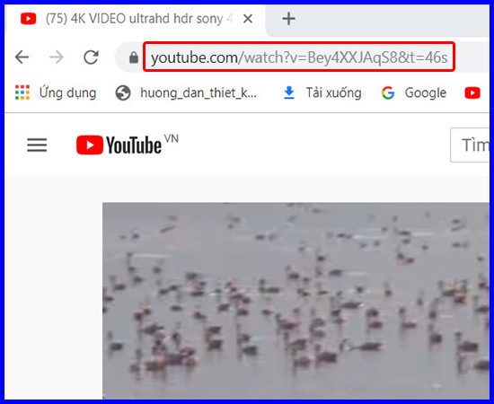 Sao ch&eacute;p đường link của video 4K m&agrave; bạn muốn tải về