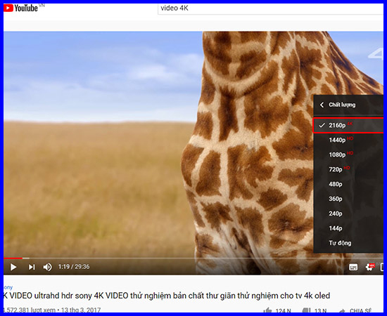 H&igrave;nh ảnh 4K mang cảm gi&aacute;c ch&acirc;n thực
