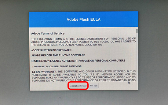 Tại giao diện Adobe Flash EULA hãy nhấn chọn Accept and install