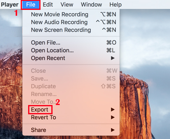 Export ảnh trên MacBook.